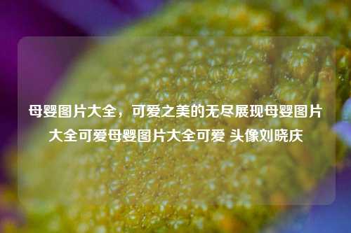 母婴图片大全，可爱之美的无尽展现母婴图片大全可爱母婴图片大全可爱 头像刘晓庆