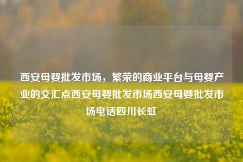 西安母婴批发市场，繁荣的商业平台与母婴产业的交汇点西安母婴批发市场西安母婴批发市场电话四川长虹