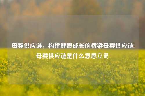 母婴供应链，构建健康成长的桥梁母婴供应链母婴供应链是什么意思立冬