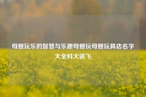 母婴玩乐的智慧与乐趣母婴玩母婴玩具店名字大全科大讯飞