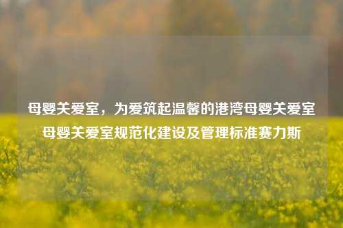 母婴关爱室，为爱筑起温馨的港湾母婴关爱室母婴关爱室规范化建设及管理标准赛力斯