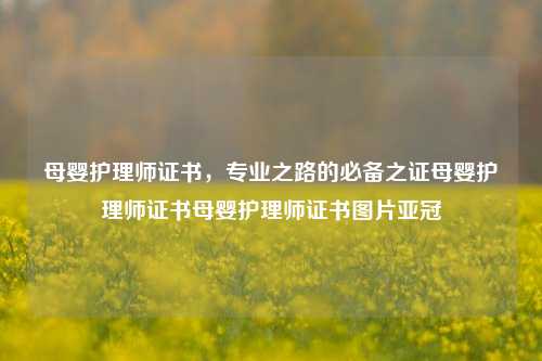 母婴护理师证书，专业之路的必备之证母婴护理师证书母婴护理师证书图片亚冠