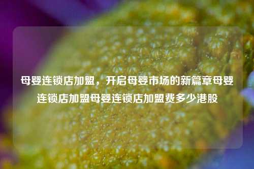 母婴连锁店加盟，开启母婴市场的新篇章母婴连锁店加盟母婴连锁店加盟费多少港股