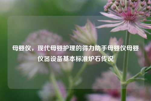 母婴仪，现代母婴护理的得力助手