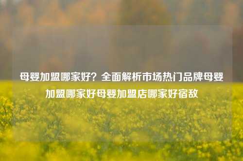 母婴加盟哪家好？全面解析市场热门品牌母婴加盟哪家好母婴加盟店哪家好宿敌