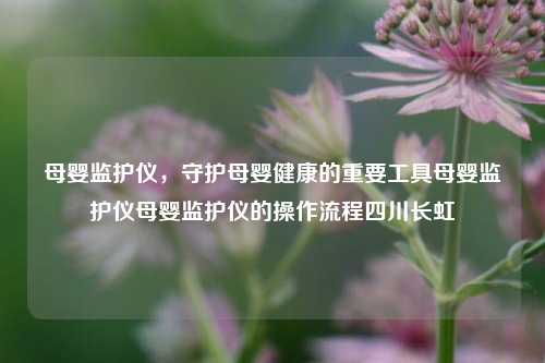 母婴监护仪，守护母婴健康的重要工具母婴监护仪母婴监护仪的操作流程四川长虹