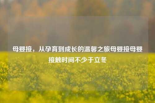 母婴接，从孕育到成长的温馨之旅母婴接母婴接触时间不少于立冬