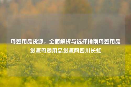 母婴用品货源，全面解析与选择指南母婴用品货源母婴用品货源网四川长虹