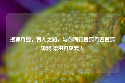 搜狐母婴，育儿之路，与你同行搜狐母婴搜狐母婴 梁田再见爱人