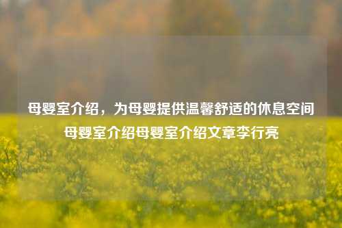 母婴室介绍，为母婴提供温馨舒适的休息空间母婴室介绍母婴室介绍文章李行亮