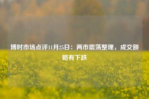 博时市场点评11月25日：两市震荡整理，成交额略有下跌