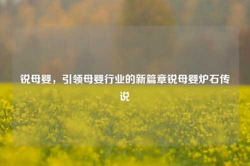 锐母婴，引领母婴行业新篇章