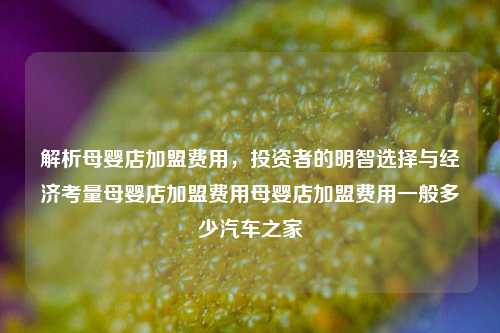 解析母婴店加盟费用，投资者的明智选择与经济考量母婴店加盟费用母婴店加盟费用一般多少汽车之家