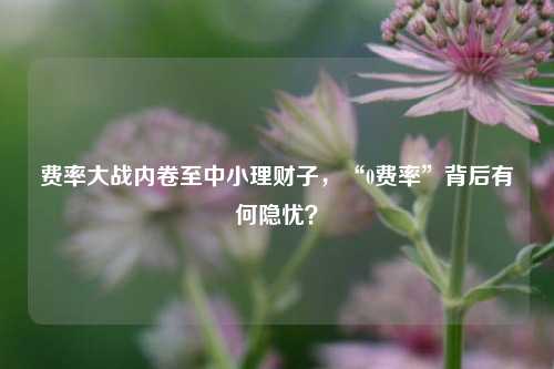 费率大战内卷至中小理财子，“0费率”背后有何隐忧？