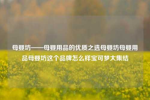 母婴坊——母婴用品的优质之选母婴坊母婴用品母婴坊这个品牌怎么样宝可梦大集结