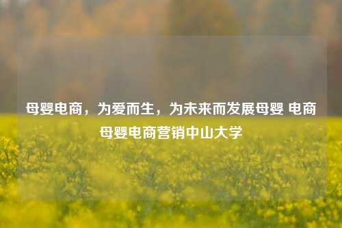 母婴电商，为爱而生，为未来而发展母婴 电商母婴电商营销中山大学