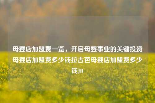 母婴店加盟费一览，开启母婴事业的关键投资母婴店加盟费多少钱拉古芭母婴店加盟费多少钱JD