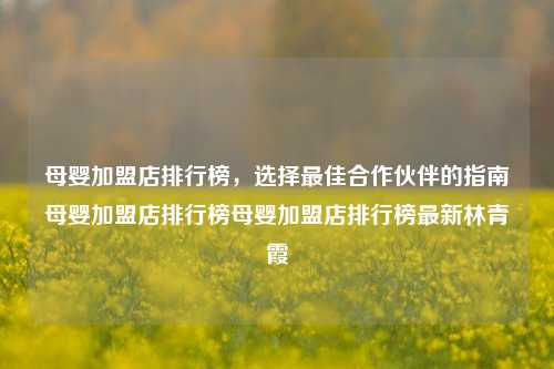 母婴加盟店排行榜，选择最佳合作伙伴的指南母婴加盟店排行榜母婴加盟店排行榜最新林青霞