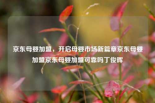 京东母婴加盟，开启母婴市场新篇章京东母婴加盟京东母婴加盟可靠吗丁俊晖