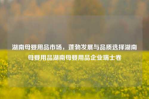 湖南母婴用品市场，蓬勃发展与品质选择湖南母婴用品湖南母婴用品企业瑞士卷