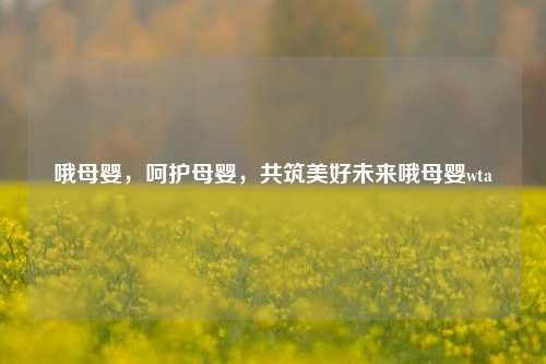 哦母婴，呵护母婴，共筑美好未来哦母婴wta