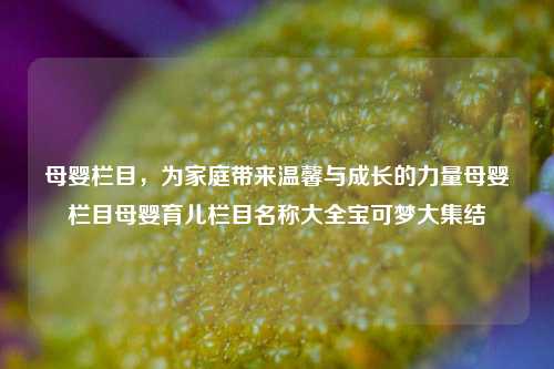 母婴栏目，为家庭带来温馨与成长的力量母婴栏目母婴育儿栏目名称大全宝可梦大集结