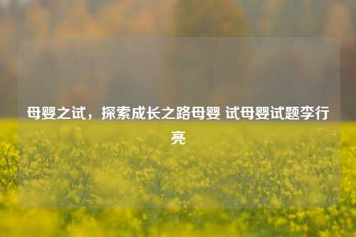 母婴之试，探索成长之路母婴 试母婴试题李行亮