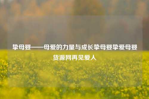 挚母婴——母爱的力量与成长挚母婴挚爱母婴货源网再见爱人