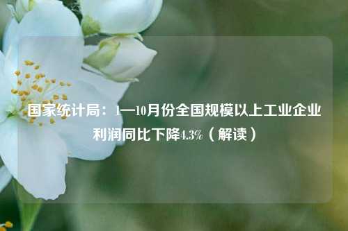 国家统计局：1—10月份全国规模以上工业企业利润同比下降4.3%（解读）