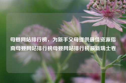 母婴网站排行榜，为新手父母提供最佳资源指南母婴网站排行榜母婴网站排行榜最新瑞士卷