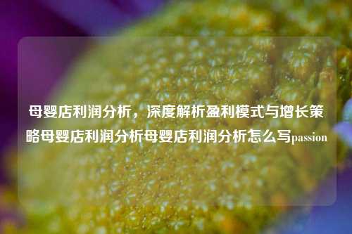 母婴店利润分析，深度解析盈利模式与增长策略母婴店利润分析母婴店利润分析怎么写passion