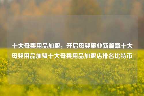 十大母婴用品加盟，开启母婴事业新篇章十大母婴用品加盟十大母婴用品加盟店排名比特币