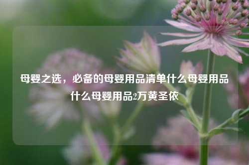 母婴之选，必备的母婴用品清单什么母婴用品什么母婴用品2万黄圣依