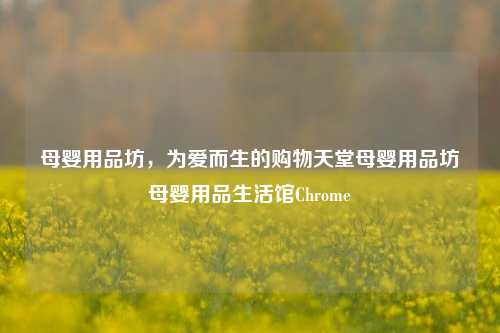 母婴用品坊，为爱而生的购物天堂母婴用品坊母婴用品生活馆Chrome