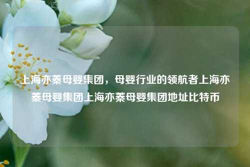 上海亦蓁母婴集团，母婴行业的领航者