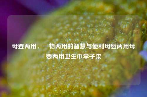 母婴两用，一物两用的智慧与便利母婴两用母婴两用卫生巾李子柒