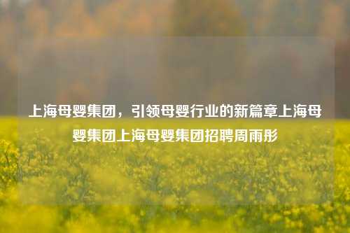 上海母婴集团引领母婴行业新篇章