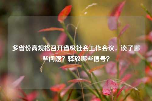 多省份高规格召开省级社会工作会议，谈了哪些问题？释放哪些信号？