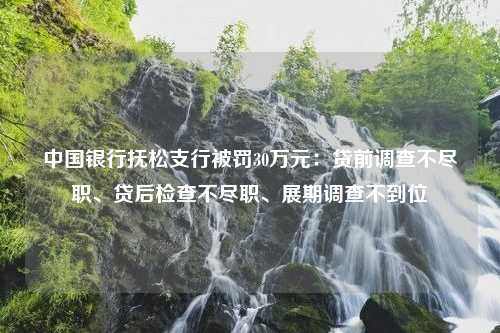 中国银行抚松支行被罚30万元：贷前调查不尽职、贷后检查不尽职、展期调查不到位