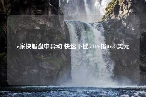 e家快服盘中异动 快速下挫5.14%报0.631美元