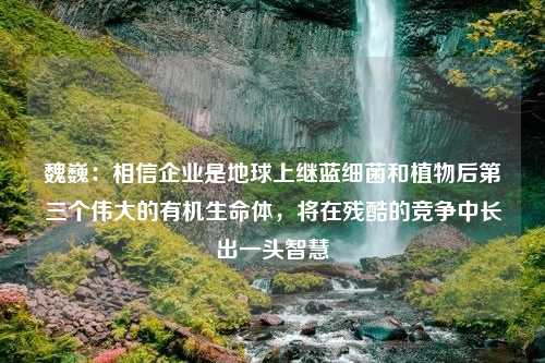 魏巍：相信企业是地球上继蓝细菌和植物后第三个伟大的有机生命体，将在残酷的竞争中长出一头智慧