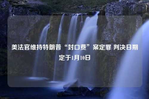 美法官维持特朗普“封口费”案定罪 判决日期定于1月10日