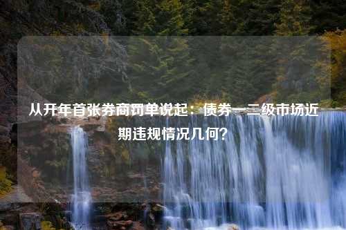 从开年首张券商罚单说起：债券一二级市场近期违规情况几何？