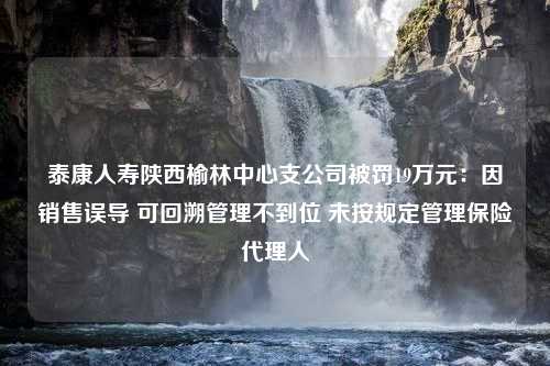 泰康人寿陕西榆林中心支公司被罚19万元：因销售误导 可回溯管理不到位 未按规定管理保险代理人