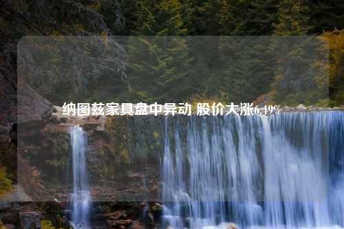 纳图兹家具盘中异动 股价大涨6.49%