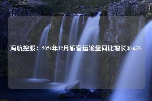 海航控股：2024年12月旅客运输量同比增长30.65%