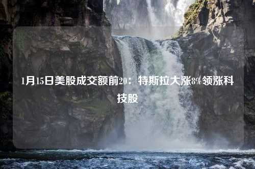 1月15日美股成交额前20：特斯拉大涨8%领涨科技股