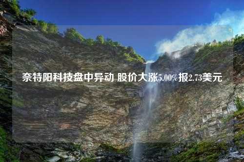 奈特阳科技盘中异动 股价大涨5.00%报2.73美元