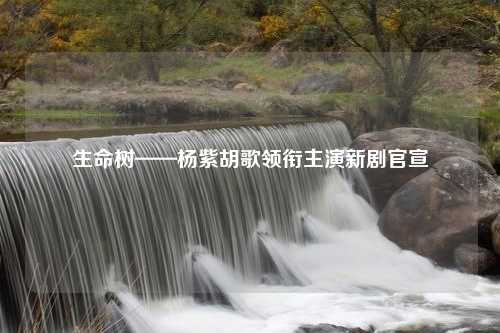 生命树——杨紫胡歌领衔主演新剧官宣