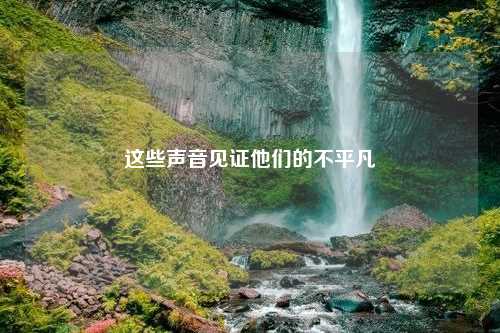 这些声音见证他们的不平凡